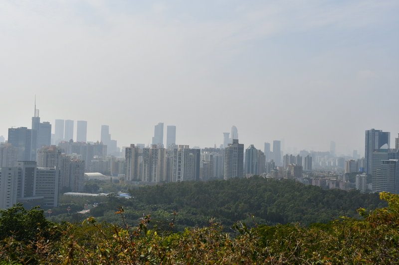 室内装修墙面用什么好？室内墙面装修流程与材料选择