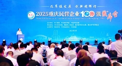 东方希望丰都水泥连续三年上榜“2025重庆制造业民营企业100强”(图1)