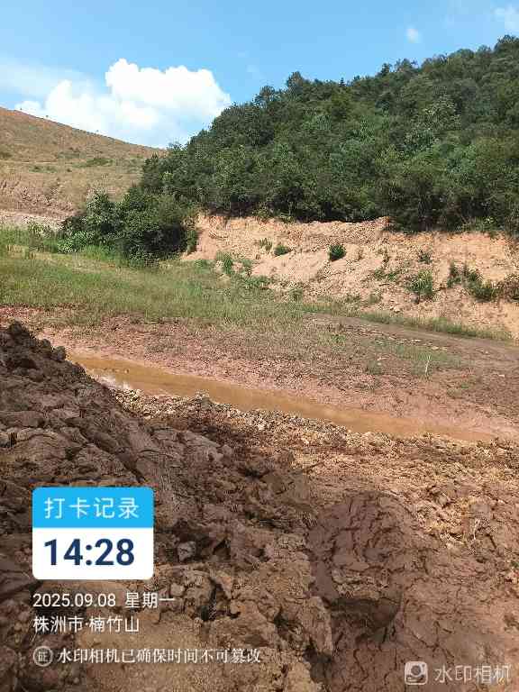 政府回应华新水泥厂排土场问题：企业已着手恢复生态(图2)