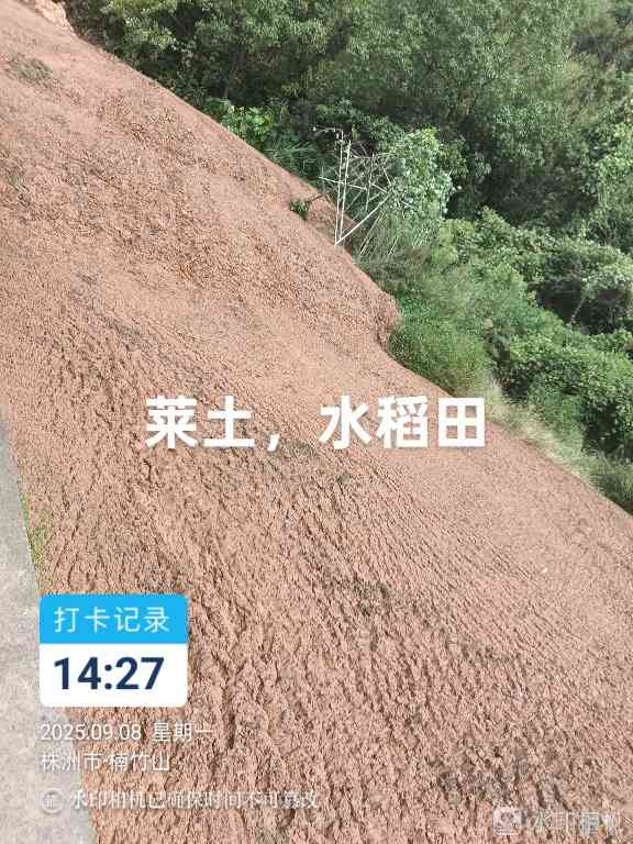 政府回应华新水泥厂排土场问题:企业已着手恢复生态(图1) 政府回应华新水泥厂排土场问题:企业已着手恢复生态(图1)