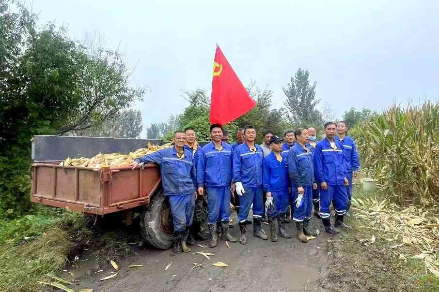 秋雨急农时 志愿暖民心——淮海实业集团相山水泥众城分厂职工助农抢收玉米(图1) 秋雨急农时 志愿暖民心——淮海实业集团相山水泥众城分厂职工助农抢收玉米(图1)