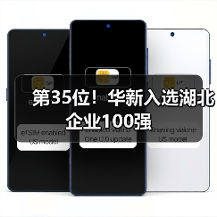 第35位！华新入选湖北企业100强（图2）