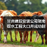 甘肃建投安装公司陇南取水工程大口井成功封底(图3) 甘肃建投安装公司陇南取水工程大口井成功封底(图3)