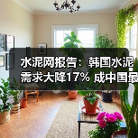 水泥网报告：韩国水泥需求大降17% 成中国最大熟料进口国（图3）