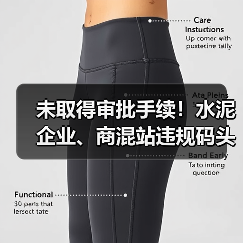 未取得审批手续！水泥企业、商混站违规码头被拆除（图3）