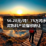 56.28元/吨!75万吨水泥熟料产能指标转让(图4) 56.28元/吨!75万吨水泥熟料产能指标转让(图4)