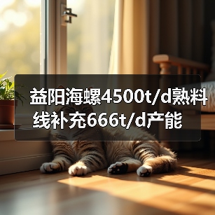 益阳海螺4500t/d熟料线补充666t/d产能（图2）