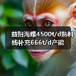 益阳海螺4500t/d熟料线补充666t/d产能（图4）