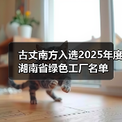 古丈南方入选2025年度湖南省绿色工厂名单（图4）