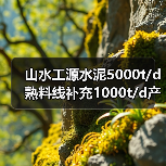 山水工源水泥5000t/d熟料线补充1000t/d产能（图2）