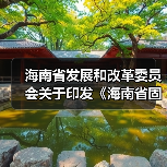 海南省发展和改革委员会关于印发《海南省固定资产投资项目节能审查和碳排放评价实施办法》的通知（图4）