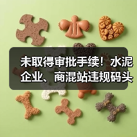 未取得审批手续！水泥企业、商混站违规码头被拆除（图2）
