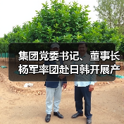 集团党委书记、董事长杨军率团赴日韩开展产业合作交流（图3）