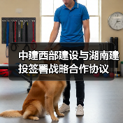 中建西部建设与湖南建投签署战略合作协议（图4）