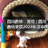 四川路桥：喜报 | 四川路桥荣获2024年度中国证券报金牛奖（图2）
