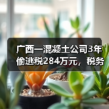 广西一混凝土公司3年偷逃税284万元，税务稽查追缴+罚款合计超530万（图3）