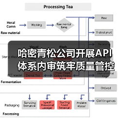 哈密青松公司开展API体系内审筑牢质量管控“防火墙”（图2）