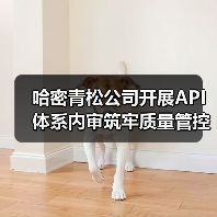 哈密青松公司开展API体系内审筑牢质量管控“防火墙”（图4）