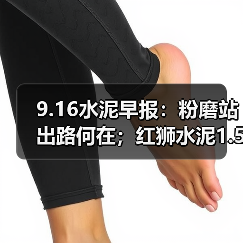 9.16水泥早报：粉磨站出路何在；红狮水泥1.5亿竞矿权；三家企业登500强榜（图1）
