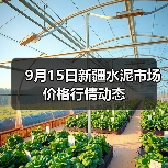 9月15日新疆水泥市场价格行情动态（图4）