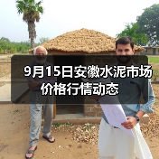 9月15日安徽水泥市场价格行情动态（图3）