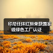 印尼任抹红狮荣获国家级绿色工厂认证（图4）