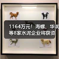 1164万元！海螺、华润等8家水泥企业将获资金支持（图2）