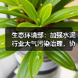 生态环境部：加强水泥行业大气污染治理，协同推动行业绿色低碳发展（图4）