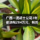 广西一混凝土公司3年偷逃税284万元，税务稽查追缴+罚款合计超530万（图4）