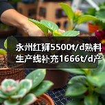永州红狮5500t/d熟料生产线补充1666t/d产能（图4）