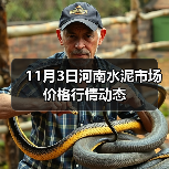 11月3日河南水泥市场价格行情动态（图3）