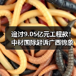 追讨9.05亿元工程款！中材国际起诉广西锦象水泥！（图4）