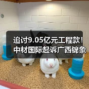 追讨9.05亿元工程款！中材国际起诉广西锦象水泥！（图2）