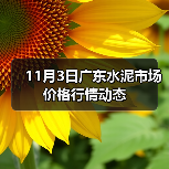 11月3日广东水泥市场价格行情动态（图4）