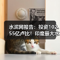 水泥网报告：投资102.55亿卢比！印度最大水泥企业将再增2280万吨产能（图4）