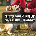 加快水泥等行业超低排放改造进度！临汾市发布重要文件