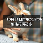 10月31日广东水泥市场价格行情动态（图3）