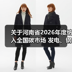 关于河南省2026年度纳入全国碳市场 发电、钢铁、水泥、铝冶炼行业 重点排放单位...（图4）