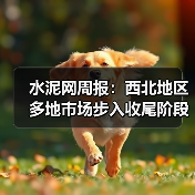 水泥网周报：西北地区多地市场步入收尾阶段（10.27-10.31）（图3）