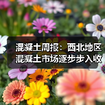 混凝土周报：西北地区混凝土市场逐步步入收尾阶段（图2）