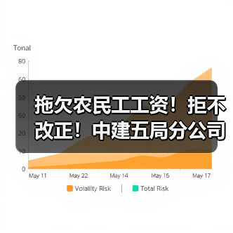拖欠农民工工资！拒不改正！中建五局分公司领人社罚单（图4）