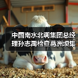 中国南水北调集团总经理孙志禹检查葛洲坝集团承建的引江补汉项目（图4）