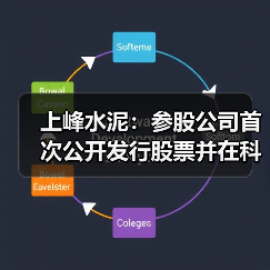 上峰水泥：参股公司首次公开发行股票并在科创板上市申请获上交所受理（图4）