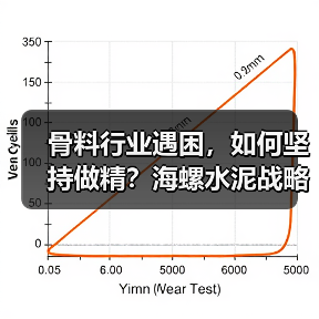 骨料行业遇困，如何坚持做精？海螺水泥战略解析（图4）