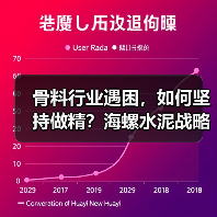 骨料行业遇困，如何坚持做精？海螺水泥战略解析（图1）