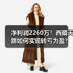 净利润2260万！西藏天路如何实现转亏为盈？（图3）