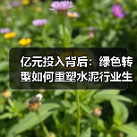 亿元投入背后：绿色转型如何重塑水泥行业生态（图4）