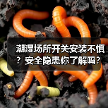 潮湿场所开关安装不慎？安全隐患你了解吗？（图1）