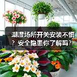 潮湿场所开关安装不慎？安全隐患你了解吗？（图4）