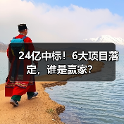 24亿中标！6大项目落定，谁是赢家？（图3）